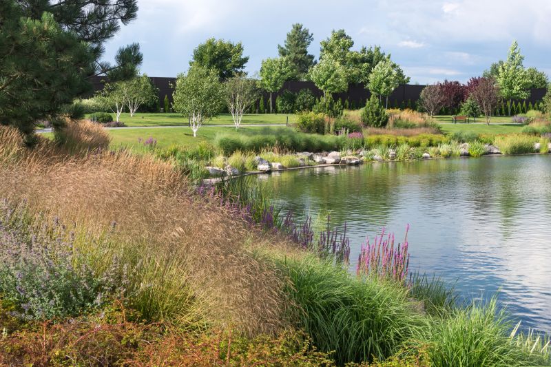 Pond Building