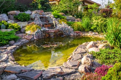 Pond Building