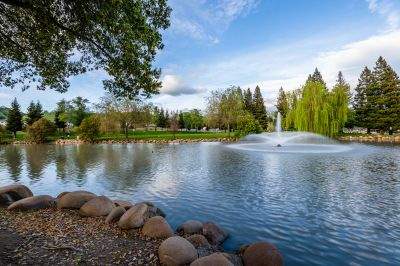 Water Feature with Pavilion